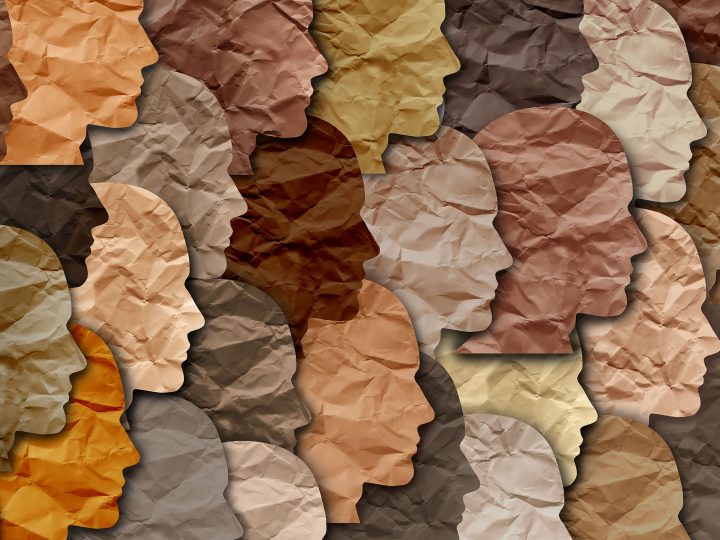 diversity