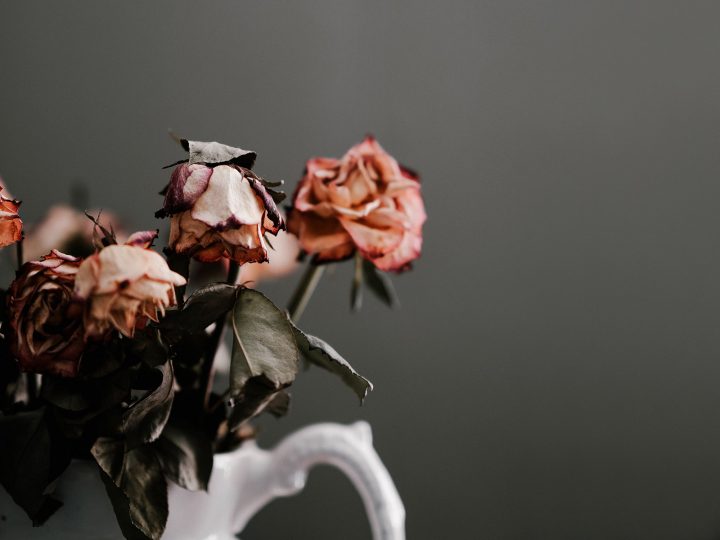 dead flowers
