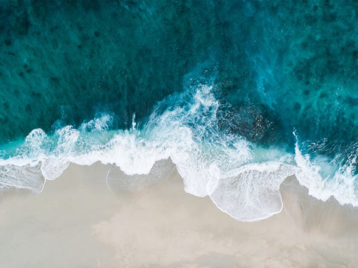 sea