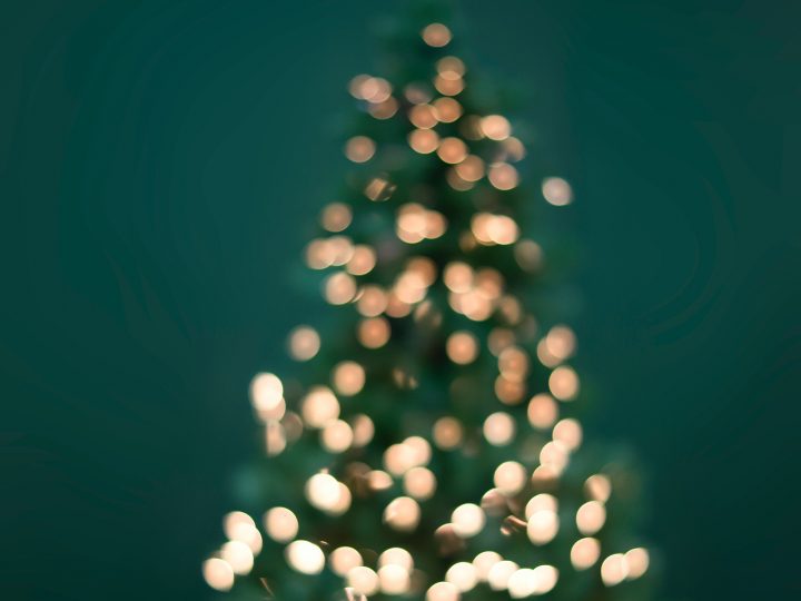 Tree and Lights