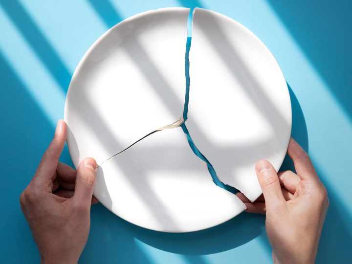 broken plate