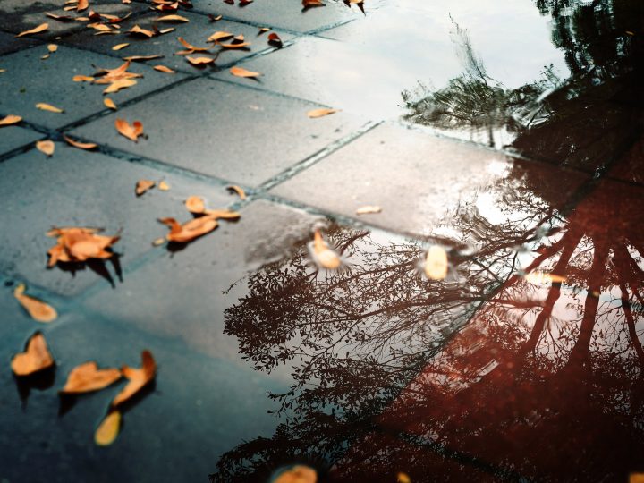 joy after grief