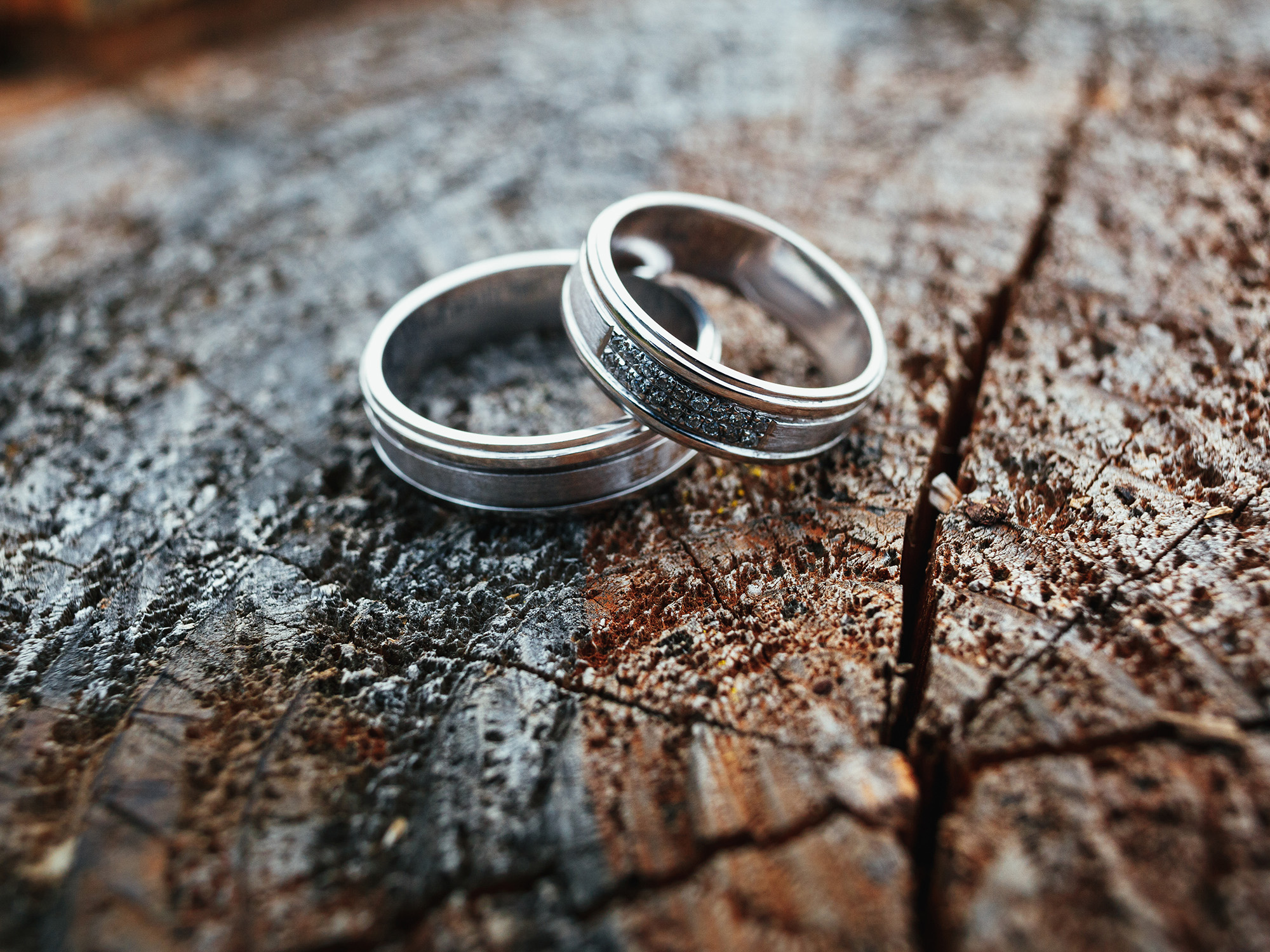 Обручальные кольца с деревом