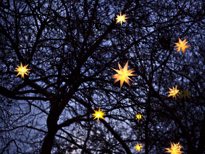 Christmas can also bring along many disappointments for people of all ages