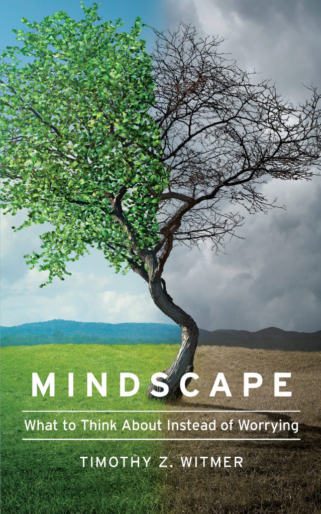 Mindscape Frontcover