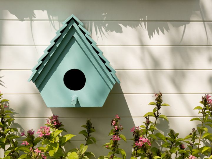 small birdhouse in a garden