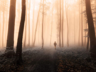 man wandering alone in forest