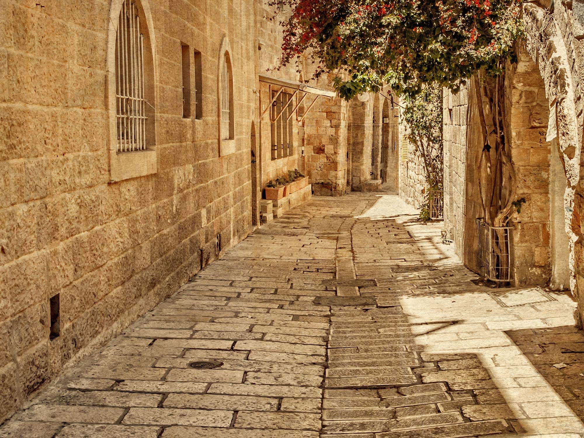 THE GOSPEL IN SIX TRUTHS visual data 3