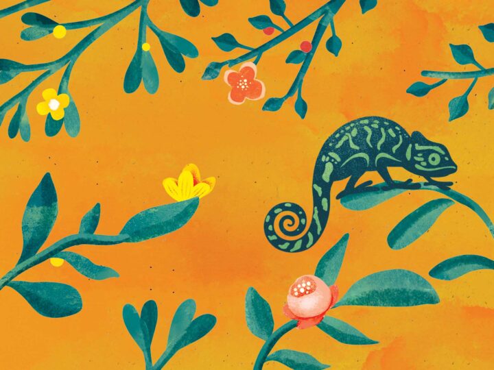 blog chameleon