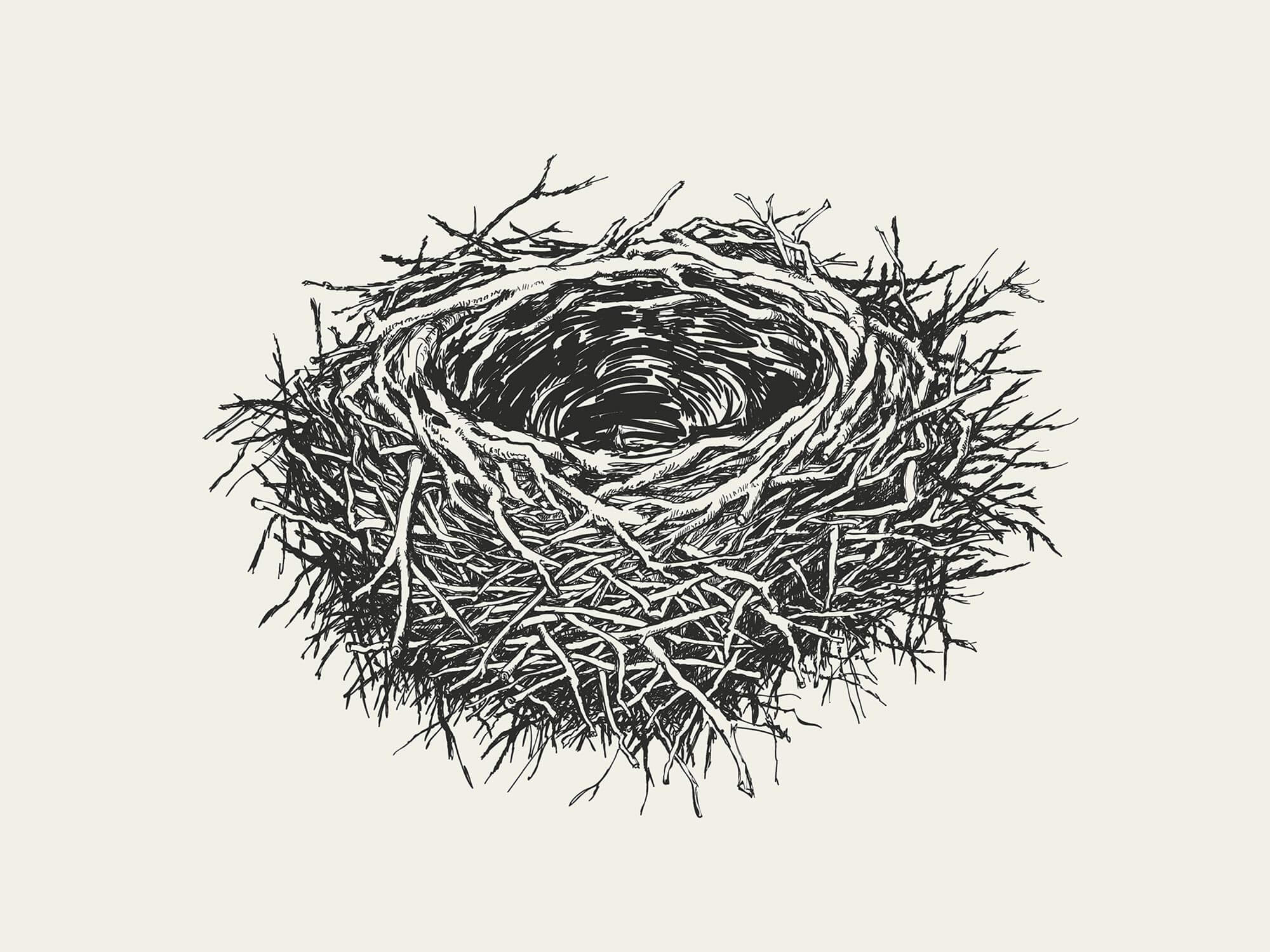 Three Steps to Adjusting & Dealing With An Empty Nest by McKay Caston