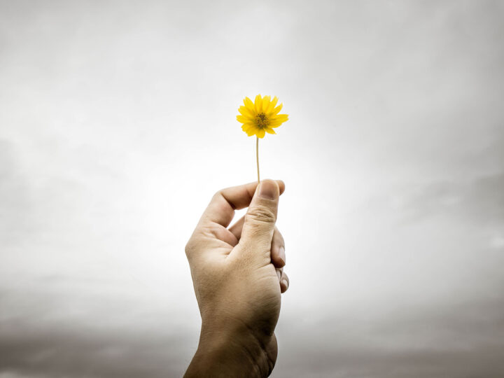 blog hold on to joy