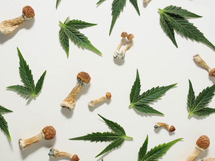 marijuana leaves and mushrooms