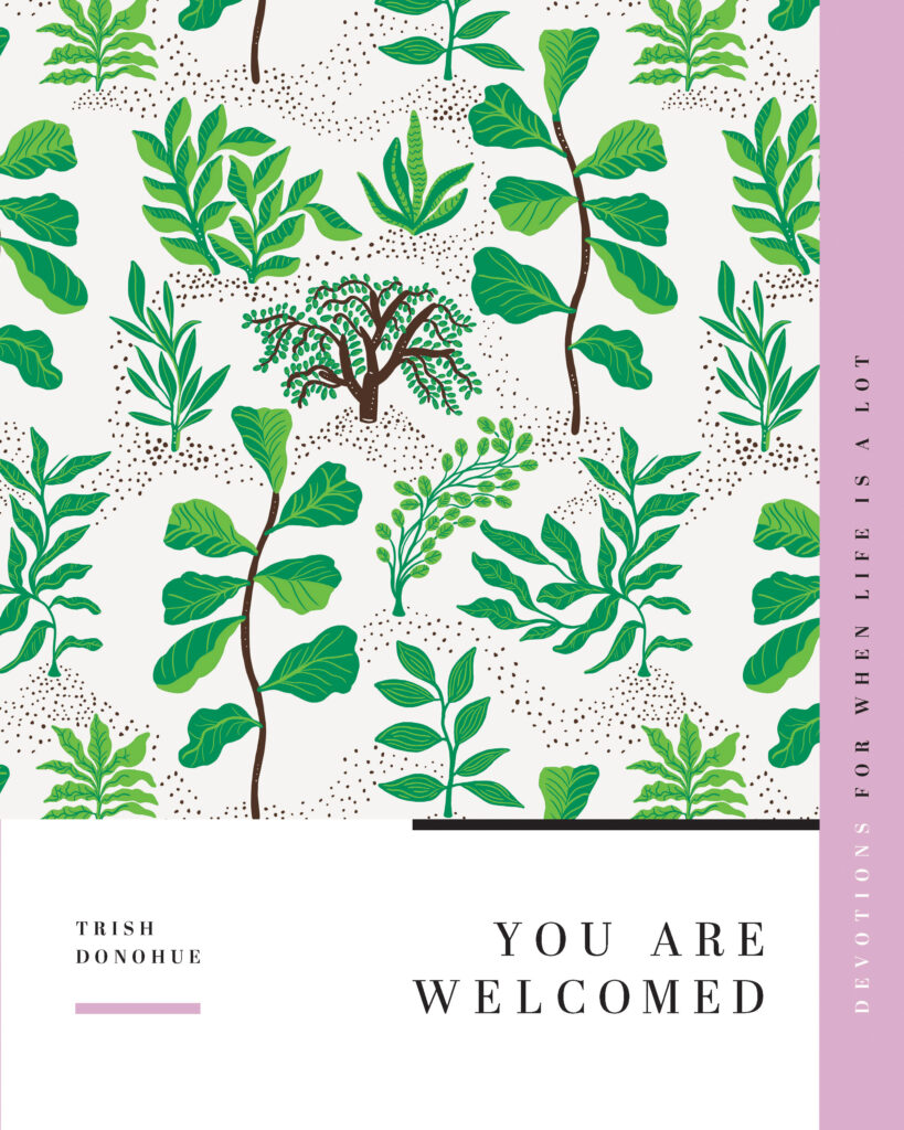 You Are Welcomed book cover