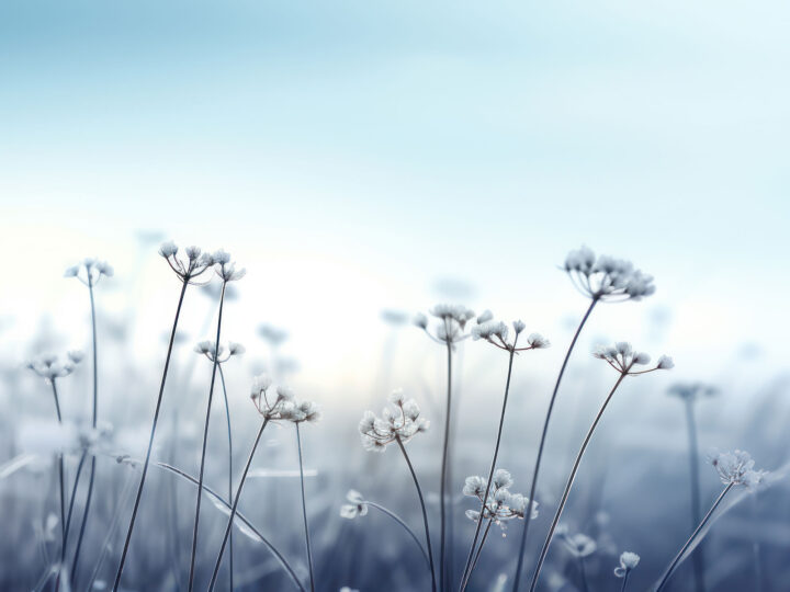 blog prayer alone