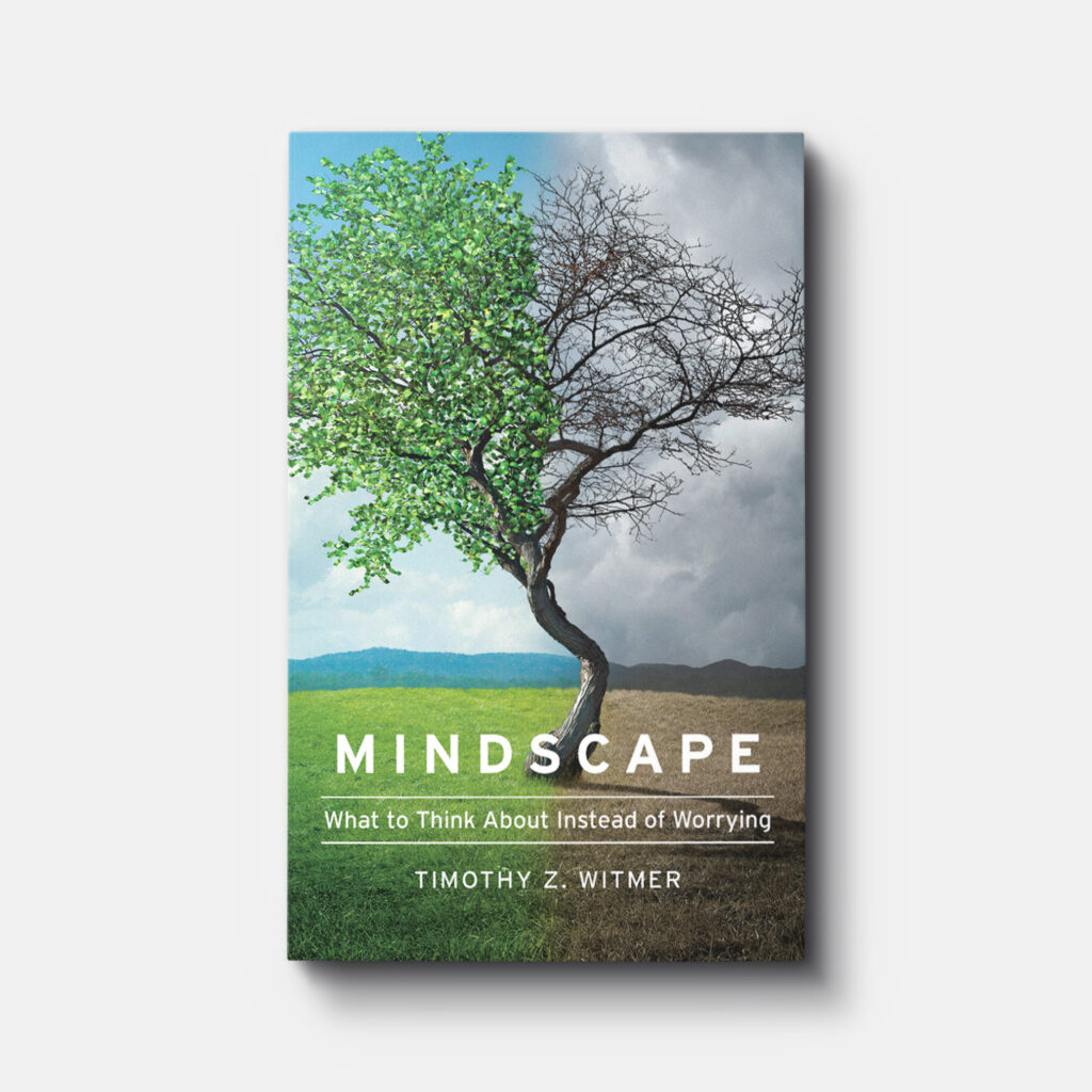 Mindscape Frontcover