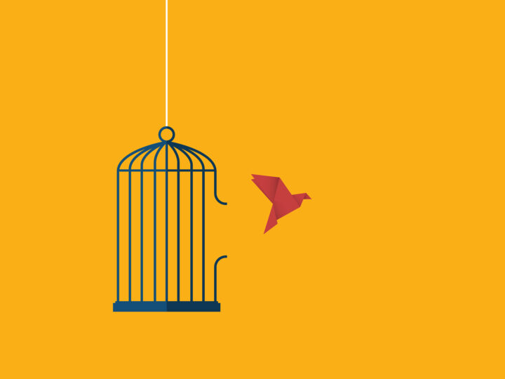 blog justification freedom