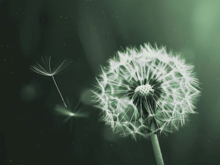 blog verses grief