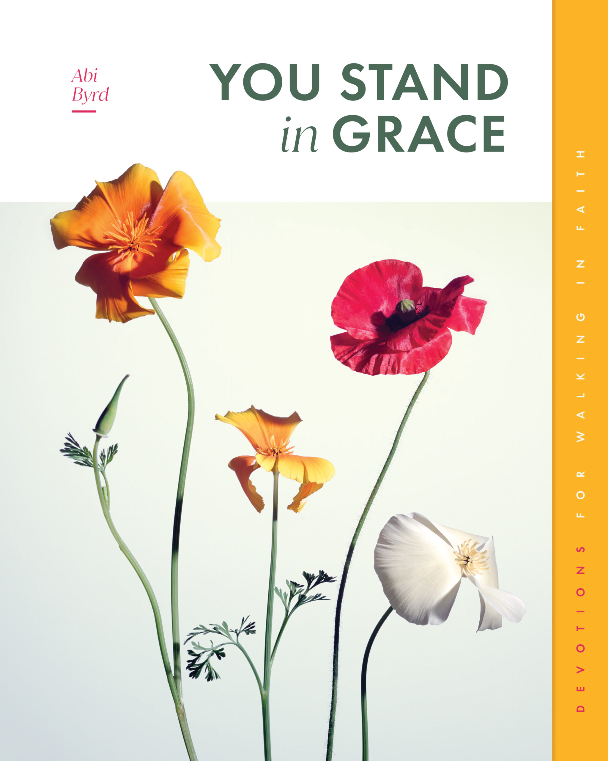 You Stand in Grace Cover