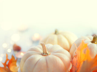 blog thanksgiving 25