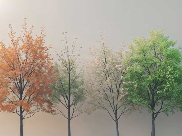 blog changing seasons