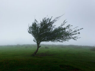 blog ecclesiates VbV