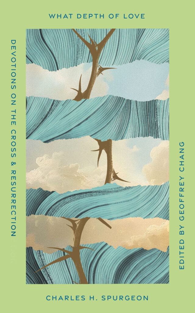 What Depth of Love cover