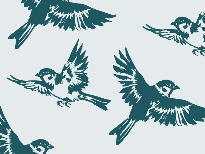 blog take heart teens