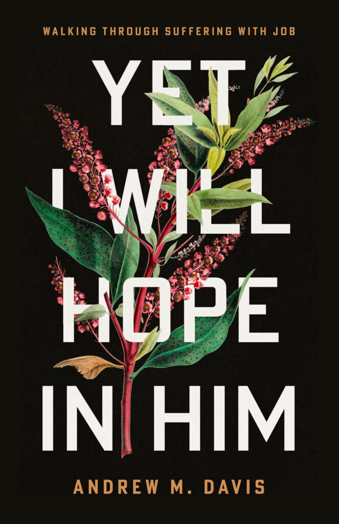 Yet I Will Hope In Him cover